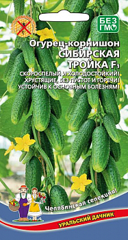 ogurec-kornishon-sibirskaya-troyka-f1