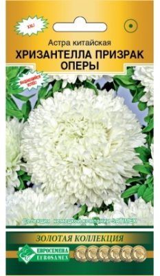 teasil1660266203